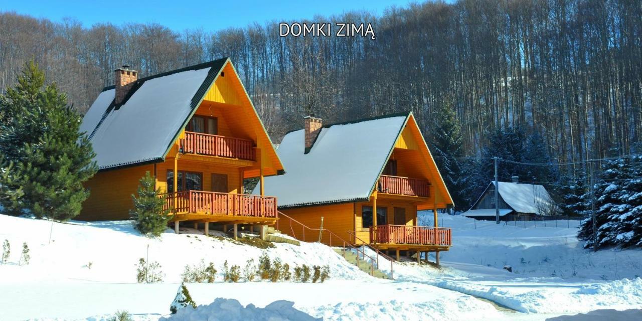 Вілла Bieszczady Sosnowa Aleja Балигород Екстер'єр фото